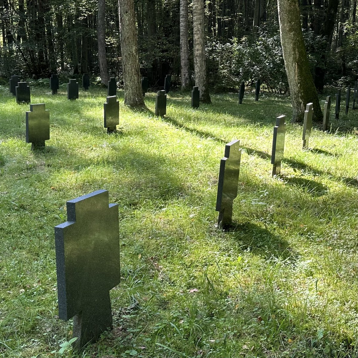 Slightly out of focus tweet media