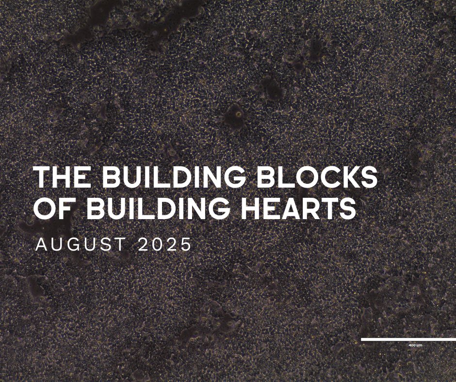 webuildhearts's tweet photo. Transformation. Growth. Hope.

+ The Grand Opening of our new HeartWorks World Headquarters in Eau Claire, WI
+ Honoring Xavier Thomas Ross
+ Groundbreaking research
+ Expanding The Co-op

💙 Read the full August newsletter: - https://t.co/S93oEcZOqq https://t.co/Ayrtb3y52P