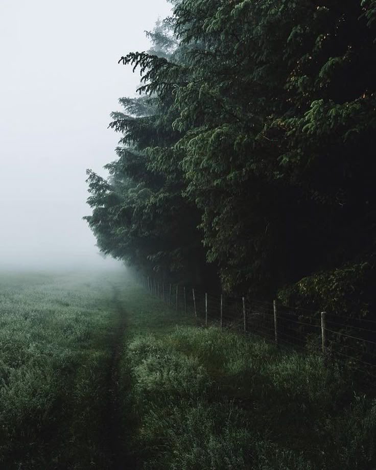 talya9646171863's tweet photo. Foggy days https://t.co/ZbuqRgqWDW