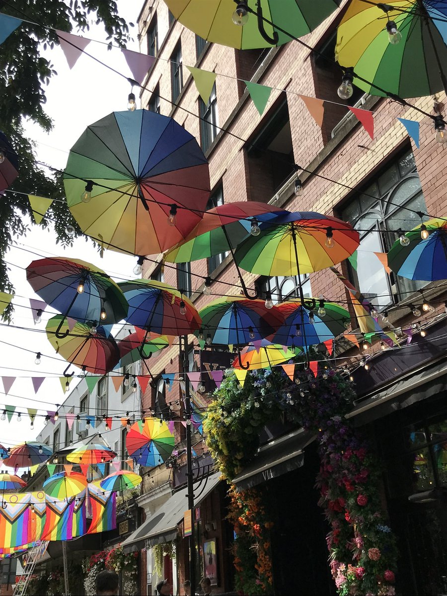 Tom Jameson 🐝 tweet media