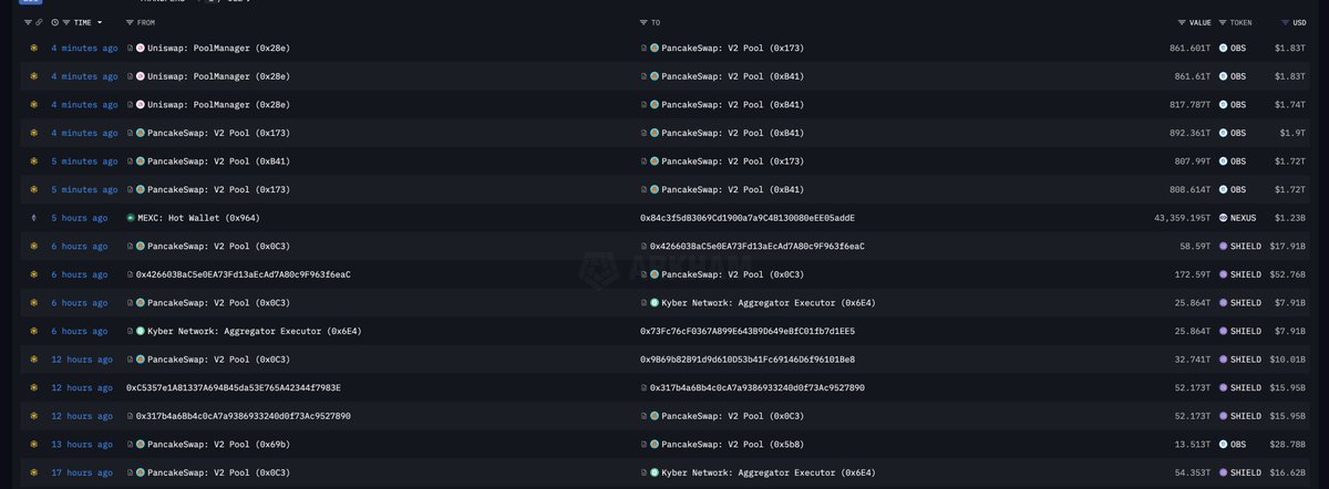Screenshot of suspicious transactions on BNB Chain dashboard showing fake volume with ORB and SHIELD tokens
