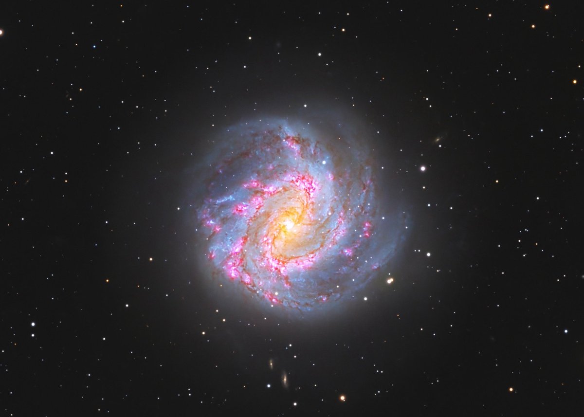 AstroCapetown (Peter Dunsby) 🔭✨🇿🇦 tweet media