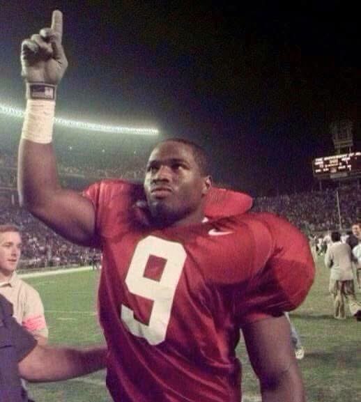 Morgan Plott tweet media