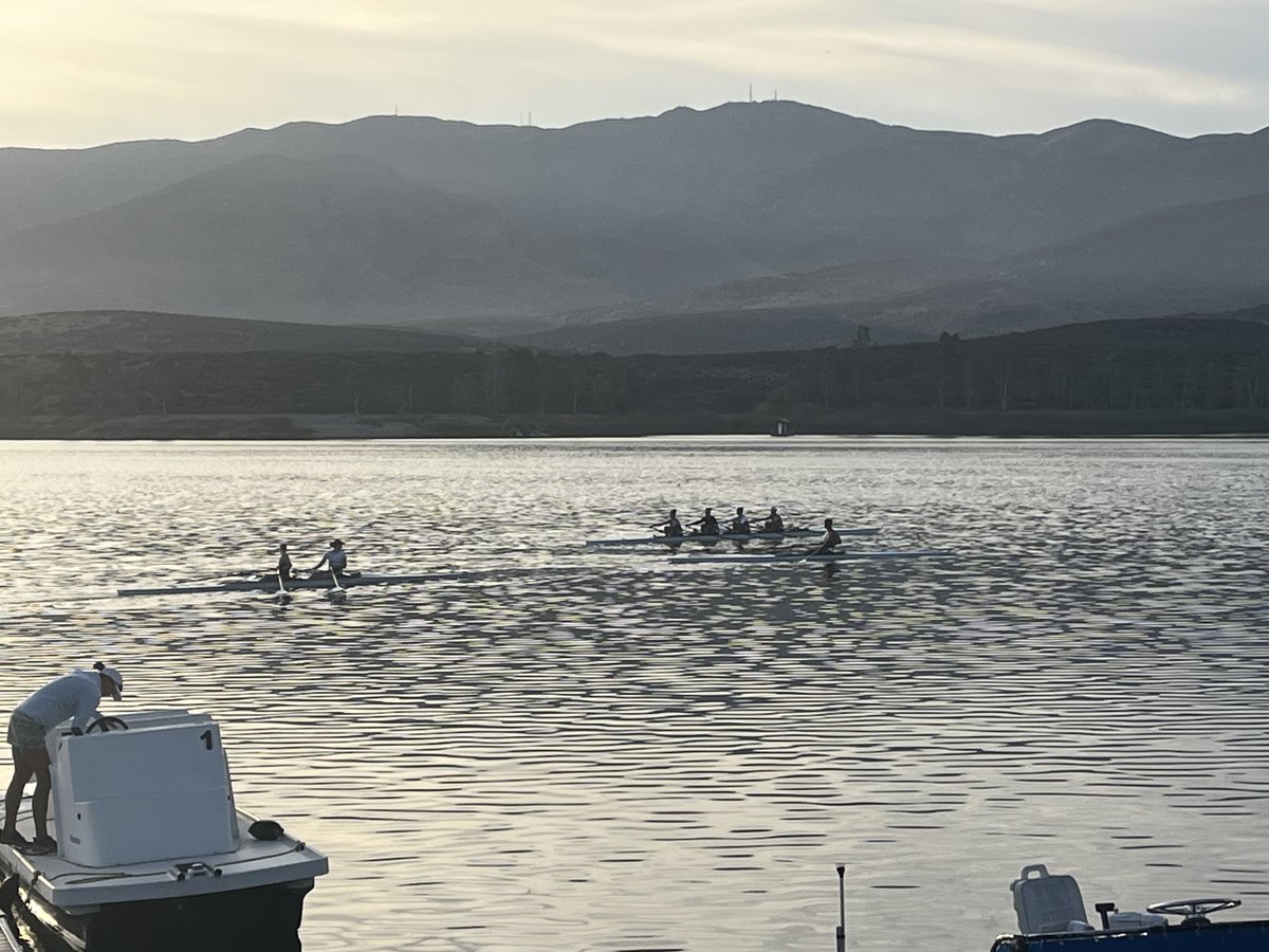 Stephen Seiler tweet media