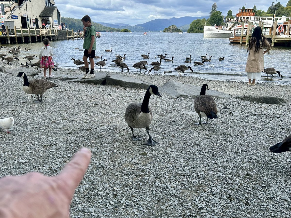 Today’s gig: Lake Windermere. Setlist: Waves, Ducks and beer. #davepoints