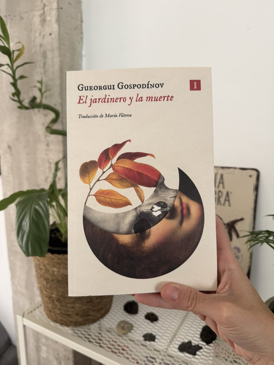 Esta ha sido mi mejor lectura del año, probablemente ninguna la iguale en los meses que queda. Menuda montaña rusa tan delicada y dolorosa.