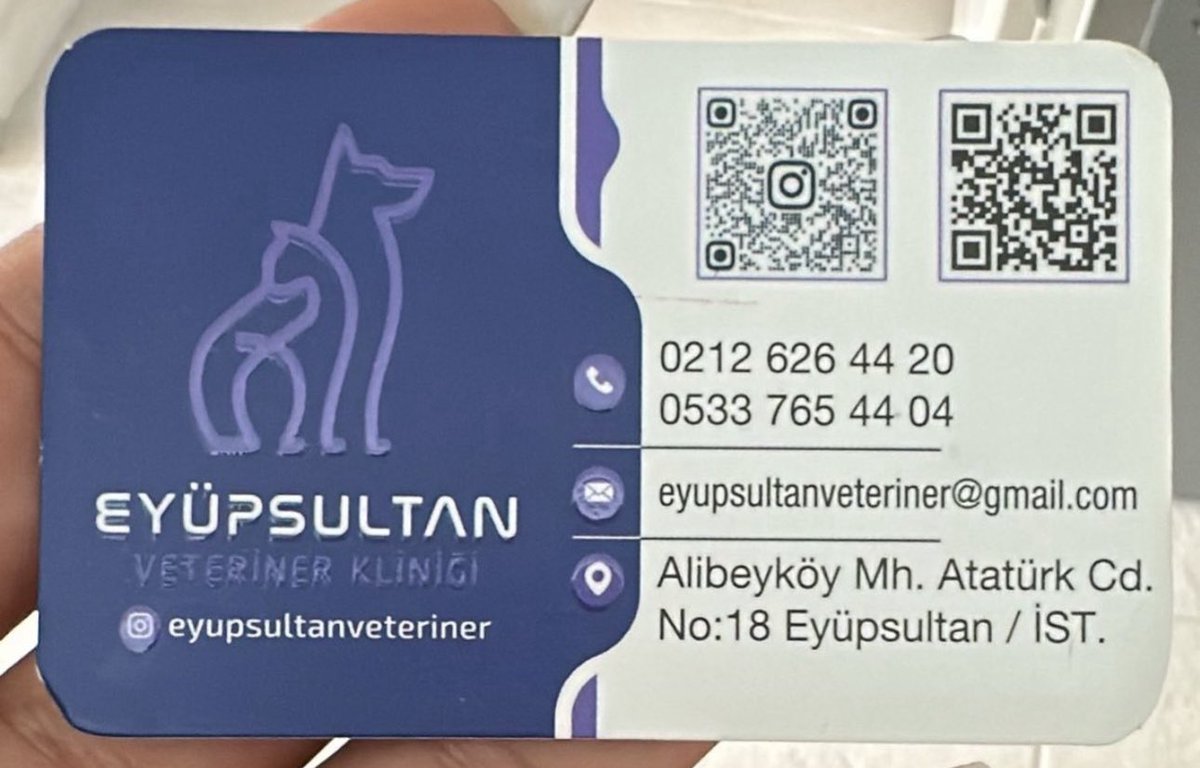 Kızımın kedisi Eyüpsultan Veteriner Kliniği pansiyonunda ölümcül hastalık kaptı. Hijyen yok, aşı sorgusu yok, kediler iç içe tutuluyor, işletme sorumluluk almıyor! Böyle bir yer derhal kapatılmalı! #HayvanHakları #VeterinerSkandalı