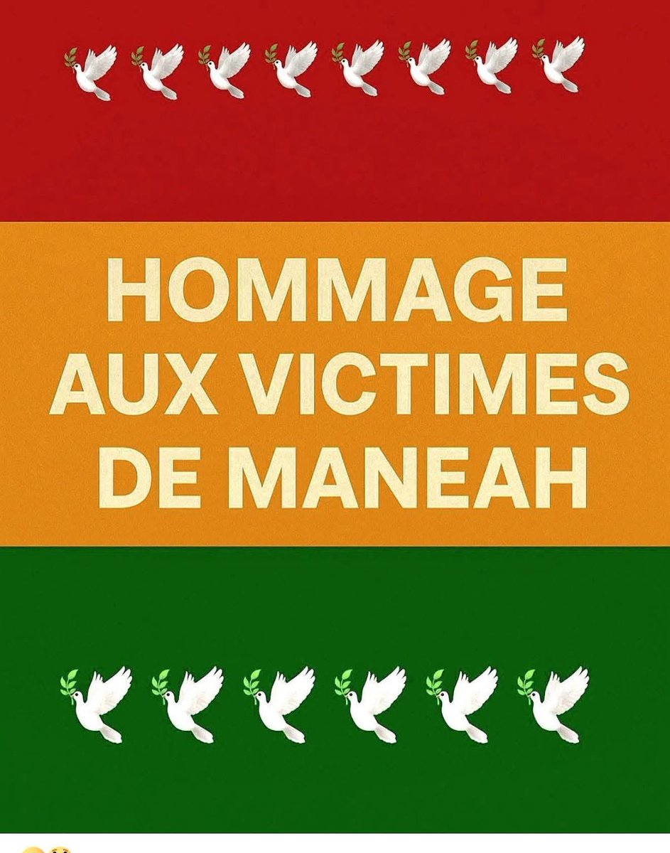 C'est la faute du gouvernement !  Cet énième drame pouvait être évité par les autorités compétentes. Malheureusement, depuis plusieurs décennies les gouvernements successifs ne gèrent que des conjoncturelles en Guinée. 👇 #alsenyfarinta