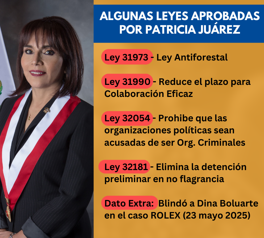 Las "normas de calidad" aprobadas por Patricia Juárez.
De yapa: Un blindaje a Dina Boluarte.