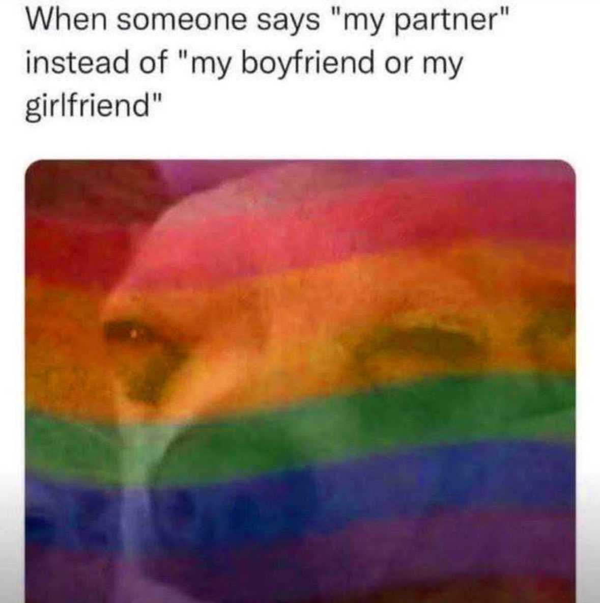 Respectful Memes (@respectfulmemes) on Twitter photo 