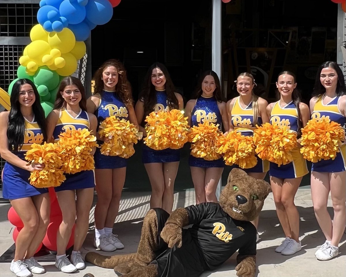ROCthePanther's tweet photo. welcome week dump 😸💙💛 https://t.co/01AGGBfxl0