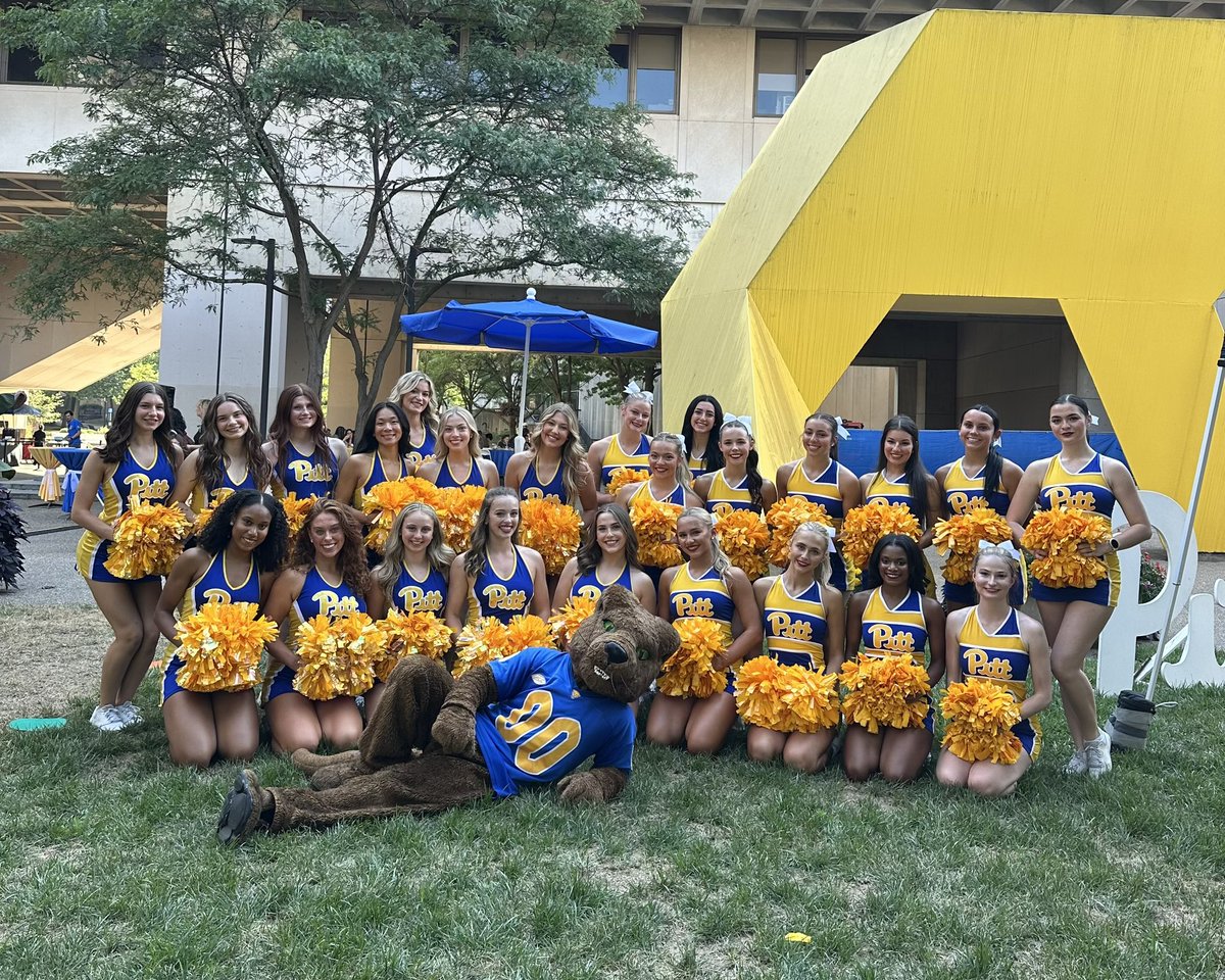 ROCthePanther's tweet photo. welcome week dump 😸💙💛 https://t.co/01AGGBfxl0
