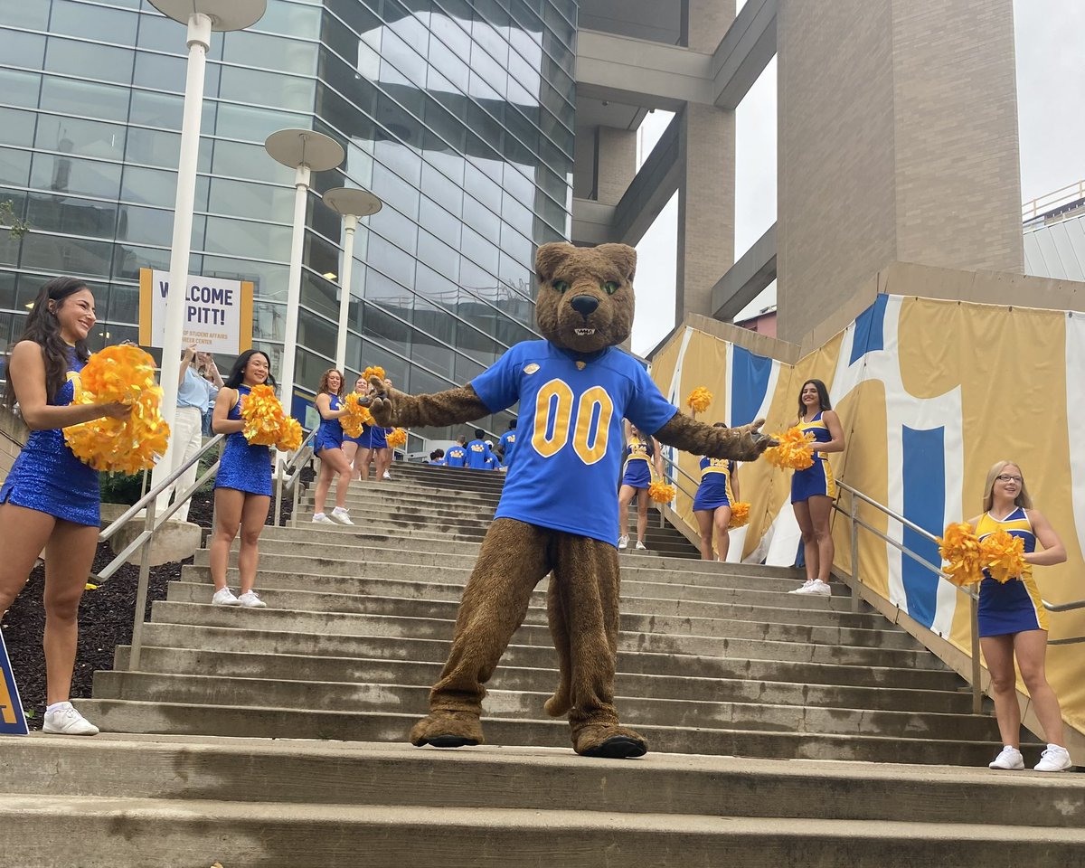 ROCthePanther's tweet photo. welcome week dump 😸💙💛 https://t.co/01AGGBfxl0