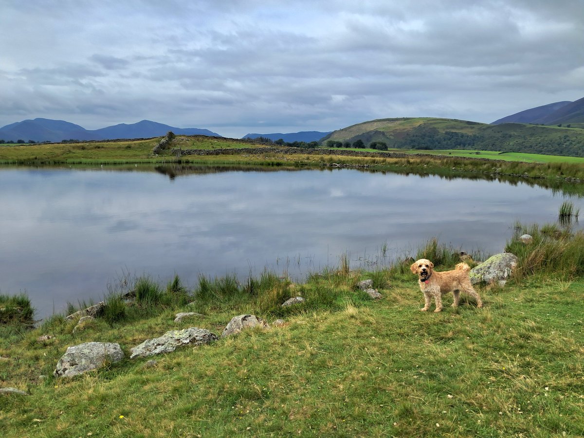 Tewet Tarn... 💙

Absolutely nobody about... It was beyond quiet 🤫 

#Keswick #LakeDistrict #selfcateringaccommodation