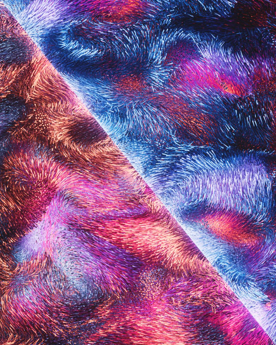 Jared Tod 💜 tweet media