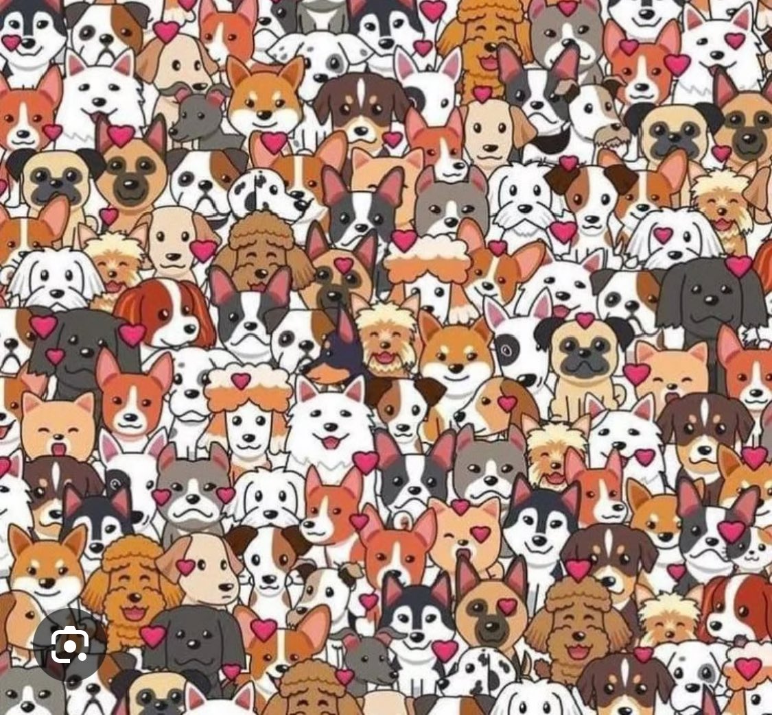 <a href="/grinsekind008/">Huhu</a> Pffff, find du dann die Katze