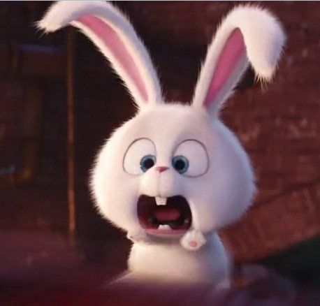 ariatmk's tweet image. cutest overload 
I wanna put him in my pocket forever 😭🤏🏻

#ร้องข้ามกำแพงxโทมัสก้อง
#tthomastc