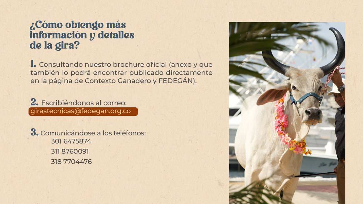 📢 ¡Atención, 🤠 ganaderos de Colombia! 🔊

Llegó la información tan esperada frente a nuestra histórica Gira Ganadera Nacional Cesar-Magdalena

Recuerde que para quedar inscrito deberá:

1⃣Realizar el pago completo por persona a través de nuestros canales
2⃣Diligenciar la ficha