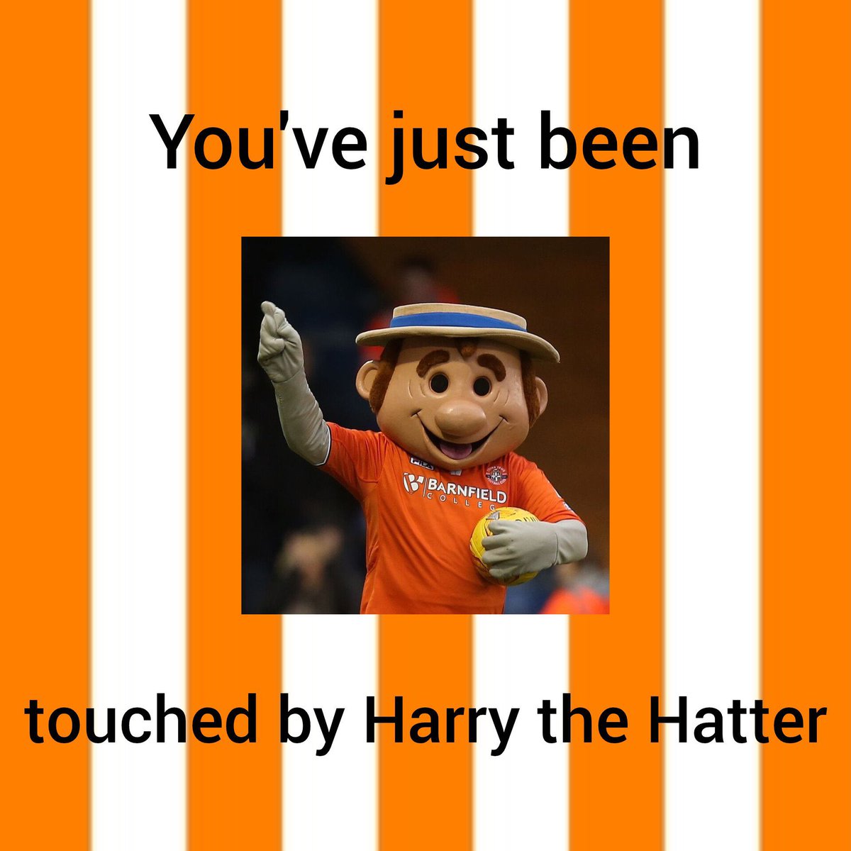 𝙇𝙞𝙖𝙢 tweet media