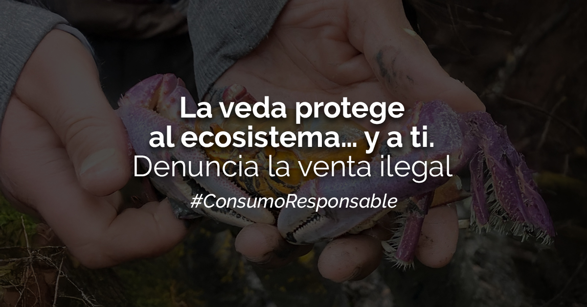 IPIAP - Ecuador 🇪🇨 tweet media