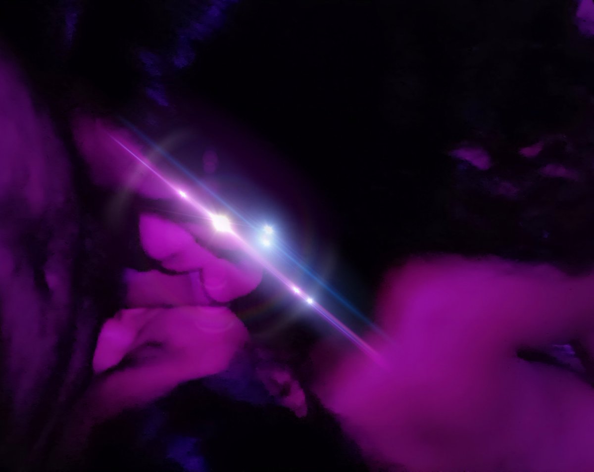 Silvia y Franco tweet media