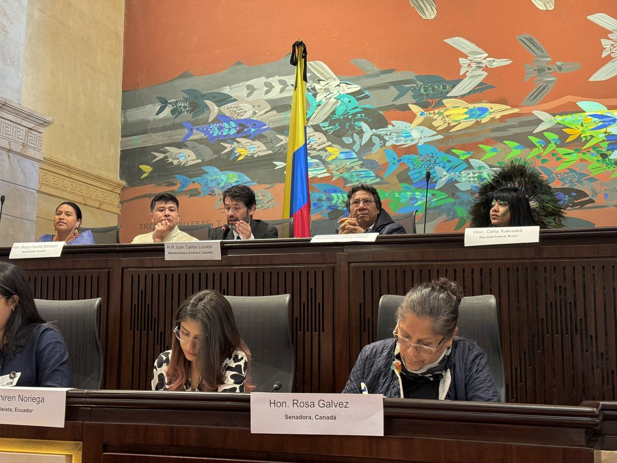 Audiencia pública: “Amazonía libre de combustibles fósiles”. Insisto que la Amazonía no debe ser un territorio de extracción, es símbolo de vida. Pueblos indígenas y aliados exigimos frenar la explotación petrolera y minera. Una decisión urgente para la autonomía indígena. 🍃🛖