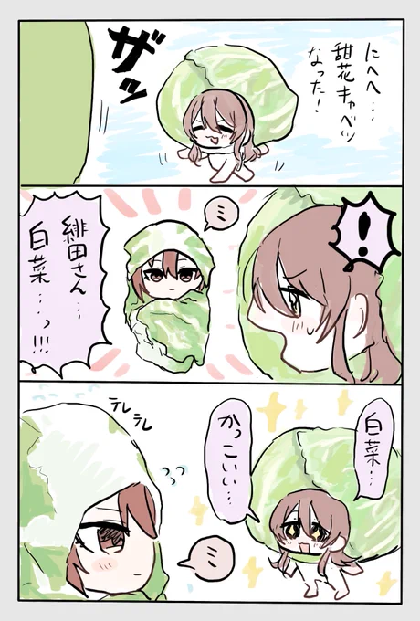 キャベツ白菜 