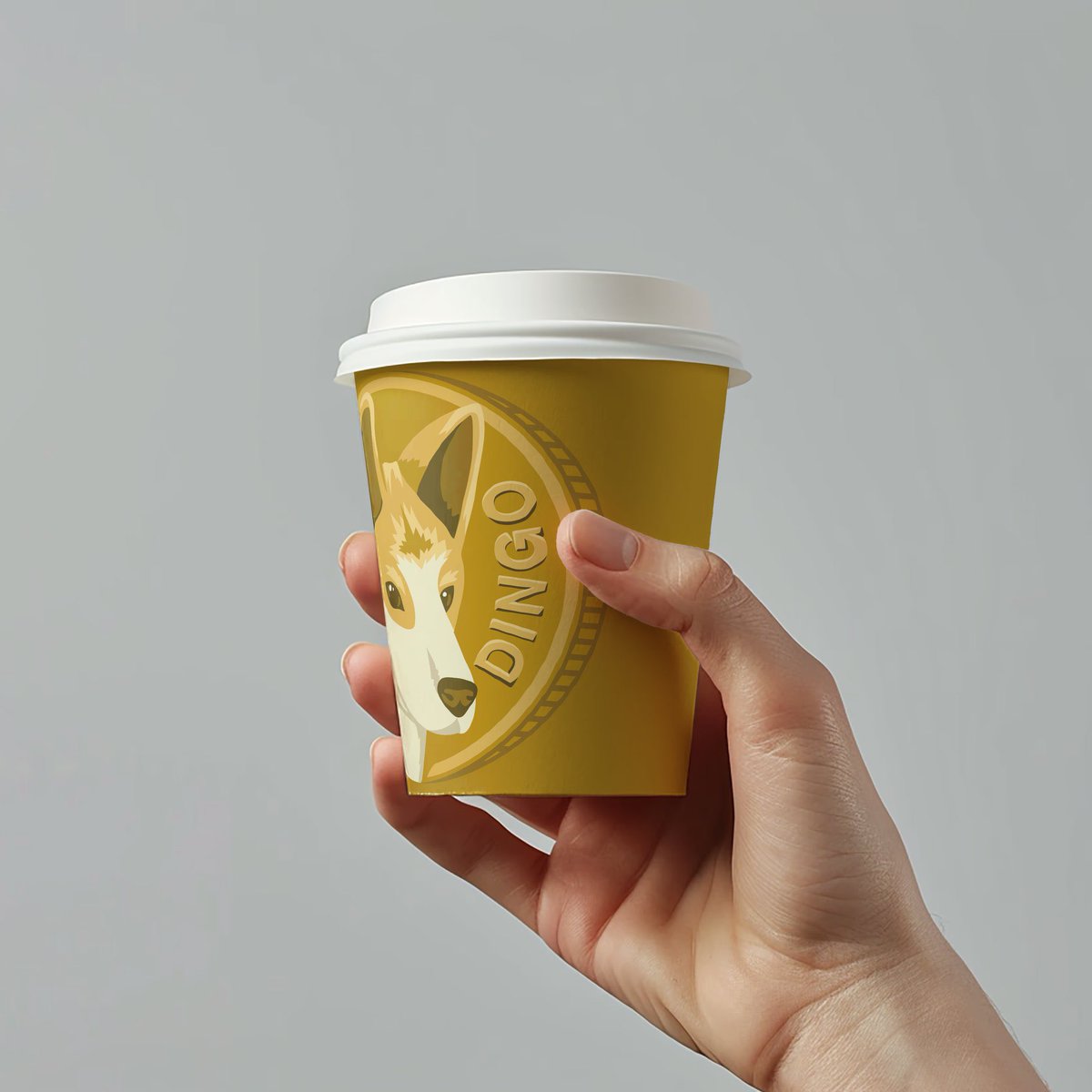 dingocoincrypto's tweet image. GM  #DINGOCOIN