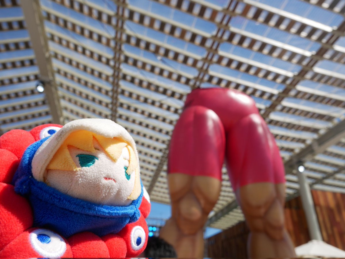 もちぬしの足とどっちが太いだろうか