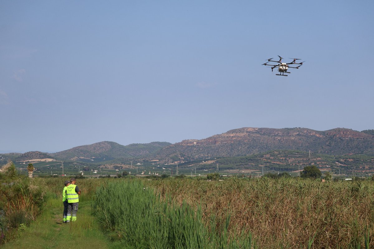 Ajuntament de Sagunt tweet media