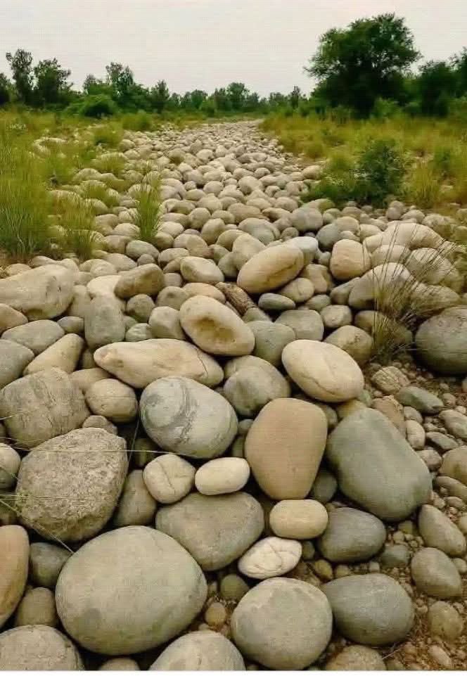 Senator Rubina khalid tweet media