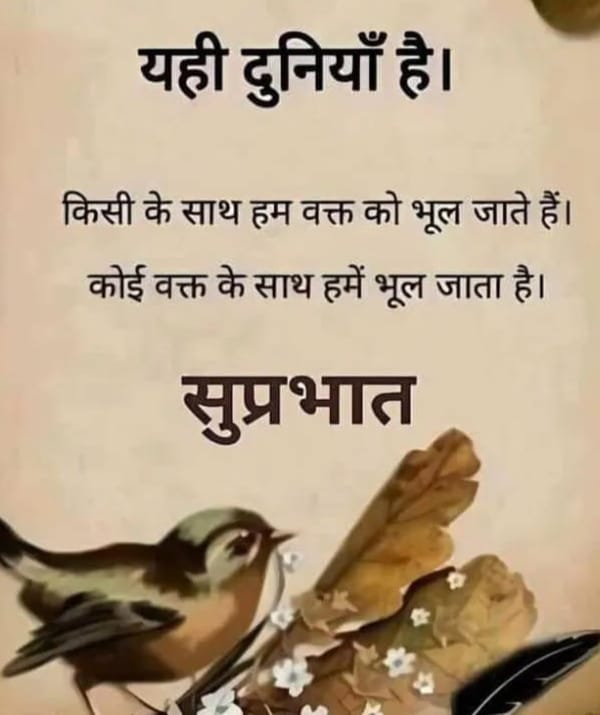 mprajan1484's tweet photo. https://t.co/bKczSbGSdT