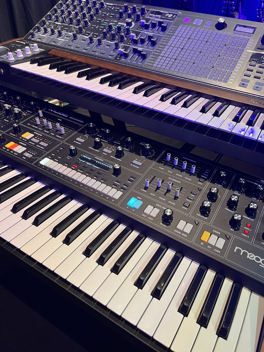 橋本しん(Sin) tweet media