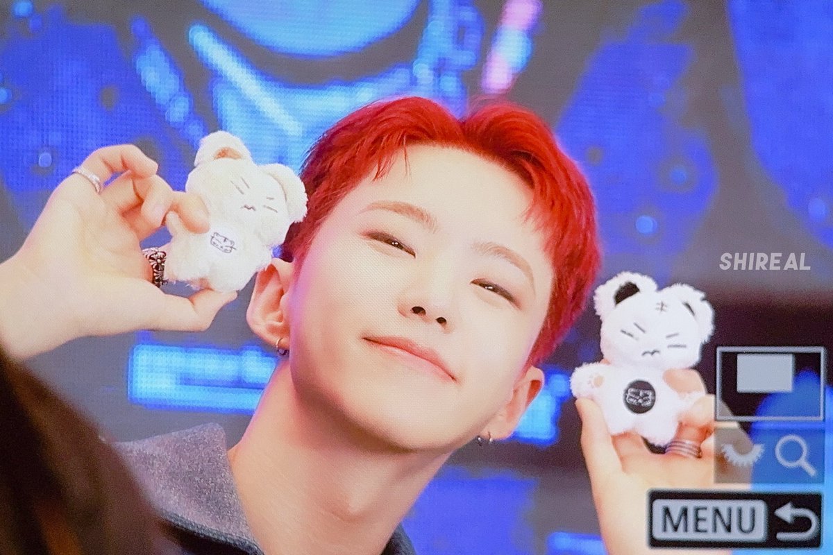 호시🐯 SHIREAL tweet media