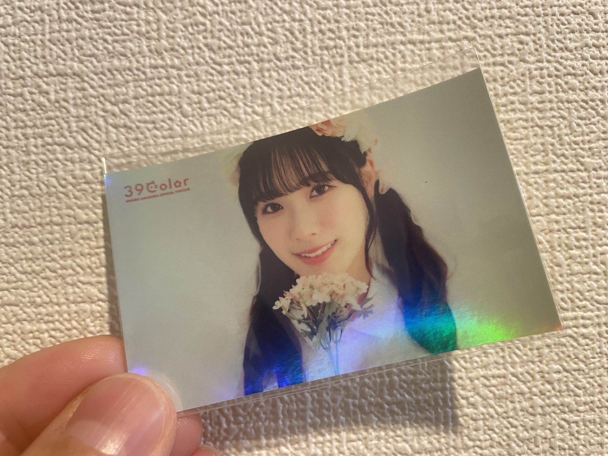 ♡ ねこちゃん 様、専用♡※他の方はご遠慮ください‼️ New子にゃんにゃん来ました😆✨ みんな警戒心などなく、人懐っ