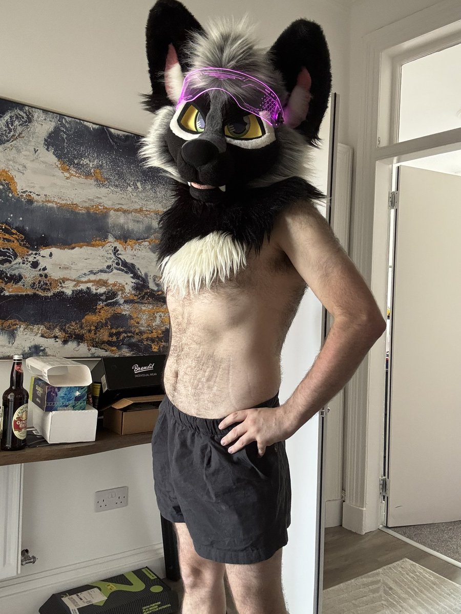 🌿Fern🌿 tweet media