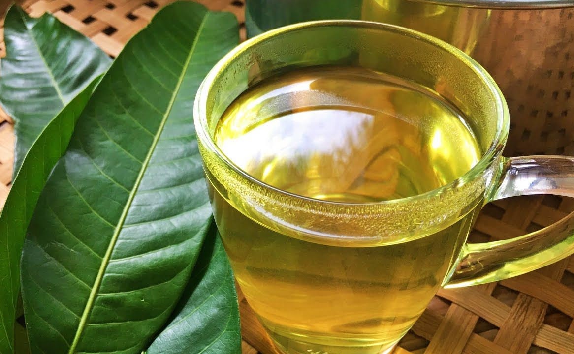 DennyPuspito's tweet photo. Mango Leaves for herbal drink https://t.co/xaoaGIS0yI