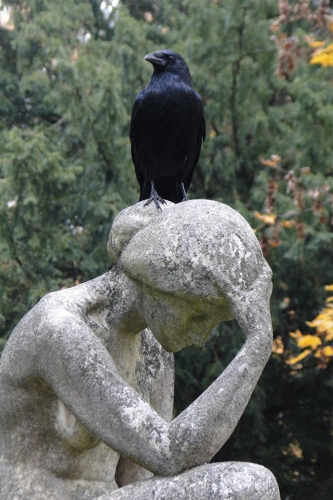 hannya✶ (@inmostlight) on Twitter photo 