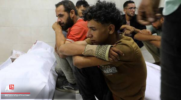 AL24Francais's tweet image. #Ghaza: le #CICR juge "intolérable" l'intensification des #agressions_sionistes 

➡️al24news.dz/fr/ghaza-le-ci…