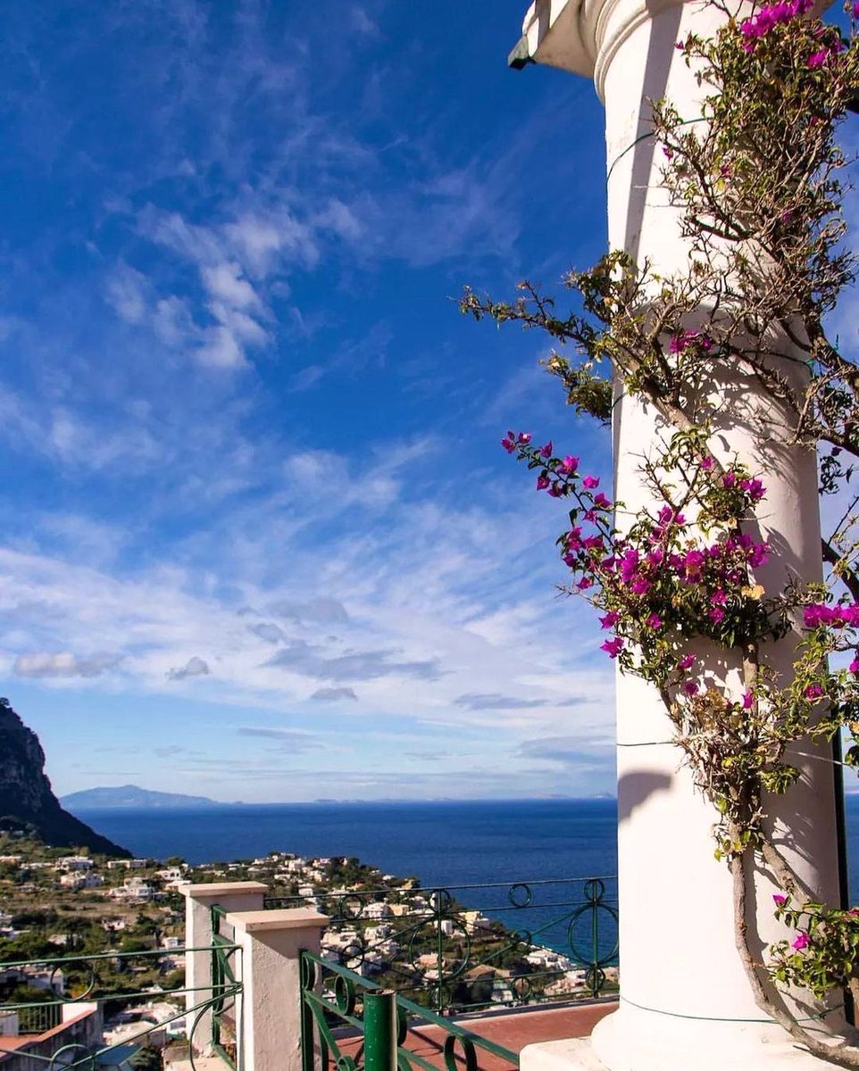 jones_ruby71789's tweet image. Capri