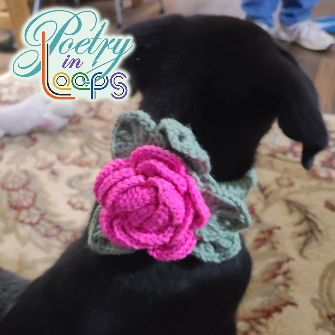 PoetryinLoops's tweet image. 🐾💖 Happy National Dog Day! 💖🐾

Today, we celebrate our four-legged best friends — the ones who give us endless cuddles, goofy smiles, and unconditional love. 🐶✨

#NationalDogDay #DogLove #HandmadeForDogs #CrochetForPets #KnitWithLove