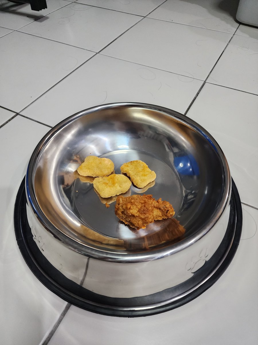 Pup_DogNew (@dognew5) on Twitter photo 