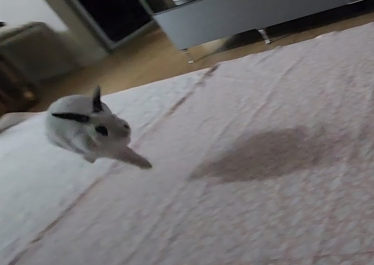 김아리 tweet media