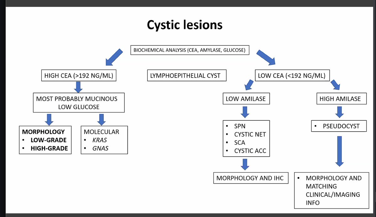 Christina Zioga (@chriszioga) on Twitter photo Important message No2! #IACwebinar with Dr <a href="/MauroSaieg/">Mauro Saieg, MD, PhD, FIAC</a> Pancreaticobilary #classification #cytology <a href="/IACytology/">International Academy Cytology</a> <a href="/DianaEstherossi/">Esther Diana Rossi</a> <a href="/IvanaKholova/">Ivana Kholová</a> <a href="/mdlozanoe/">Lola Lozano</a> Important message No2! #IACwebinar with Dr <a href="/MauroSaieg/">Mauro Saieg, MD, PhD, FIAC</a> Pancreaticobilary #classification #cytology <a href="/IACytology/">International Academy Cytology</a> <a href="/DianaEstherossi/">Esther Diana Rossi</a> <a href="/IvanaKholova/">Ivana Kholová</a> <a href="/mdlozanoe/">Lola Lozano</a>
