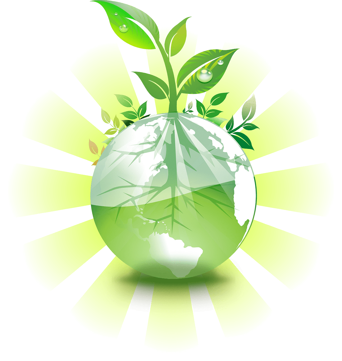 cubarecicla's tweet photo. Los suministros circulares o compras verdes son aquellos basados en el suministro de recursos totalmente renovables, reciclables o biodegradables, y no en recursos perecederos; una empresa no puede ser circular si su cadena de suministro no lo es. #Cuba #IndustriasCuba https://t.co/I7zSPLcAgj