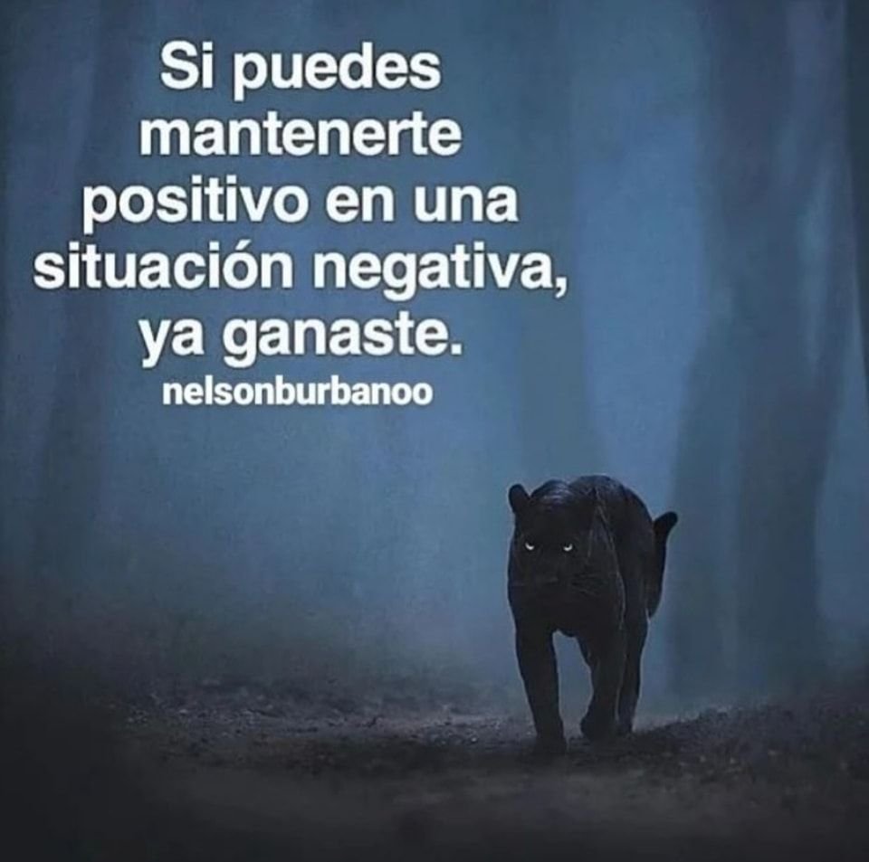 Sabiduría Eterna (@lealtadsabia) on Twitter photo 