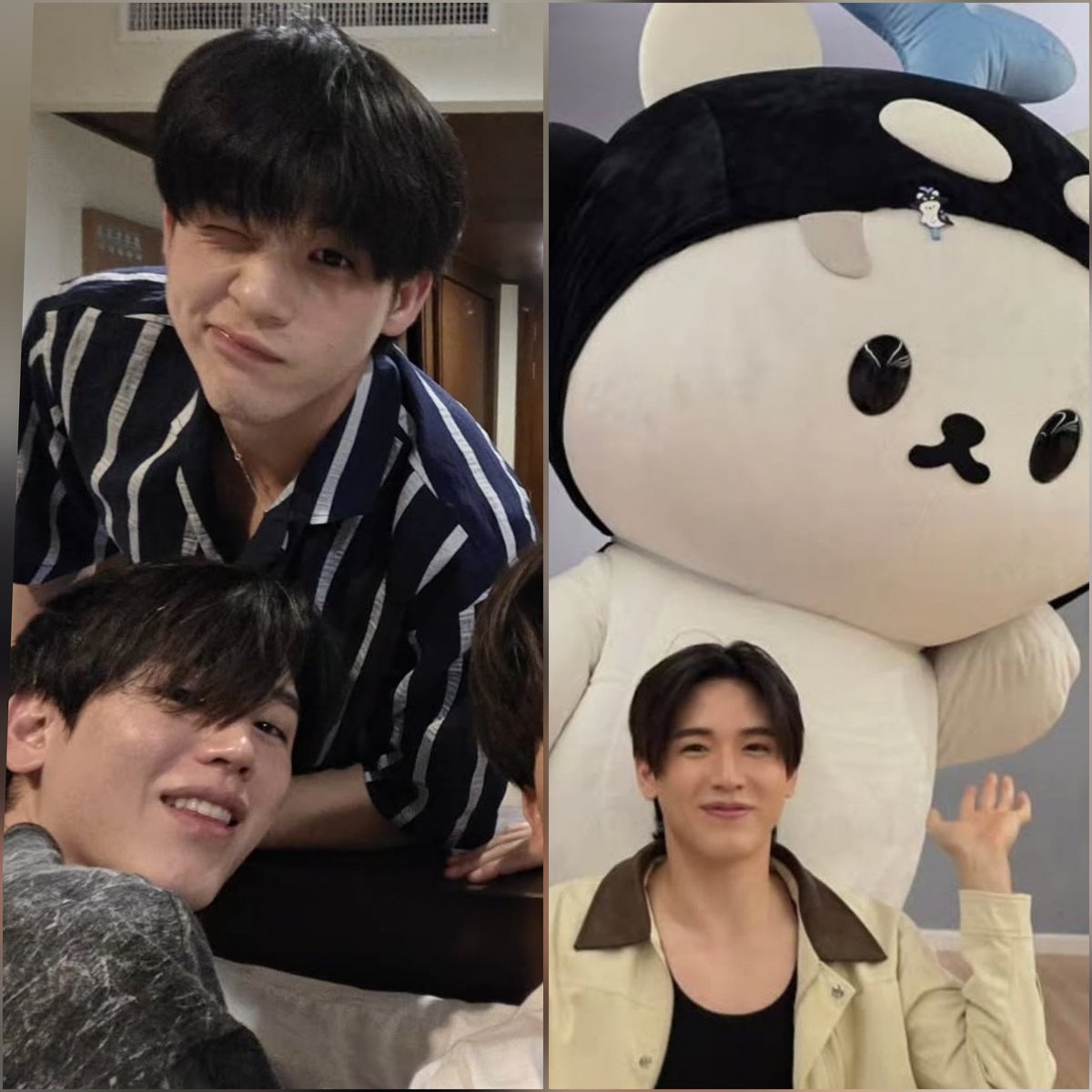 Happy place tweet media