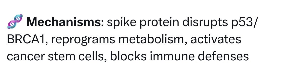 Dr Hypothesis (@hypothesis) on Twitter photo <a href="/NicHulscher/">Nicolas Hulscher, MPH</a> So Nicholas, how does a cell surface ACE-2 binding protein disrupt intracellular, nuclear-contained p53 or BRCA1 gene?
How does it “reprogram metabolism”; very vague.
How does it activate cancer stem cells? Which immune defences does spike protein block? <a href="/NicHulscher/">Nicolas Hulscher, MPH</a> So Nicholas, how does a cell surface ACE-2 binding protein disrupt intracellular, nuclear-contained p53 or BRCA1 gene?
How does it “reprogram metabolism”; very vague.
How does it activate cancer stem cells? Which immune defences does spike protein block?