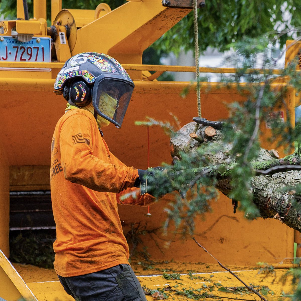 KJTreeService's tweet image. Tree care you can count on—start to finish! 🌳✨ Give us a call today don’t be shy!! 😌😌 203-248-8733!
-
-
-
#KJTreeService #CTTreeService #treeservice #arborist #treeremoval #treecare #treework #treelife #treeclimber #chainsaw #treetrimming #stumpgrinding #stumpgrinder…
