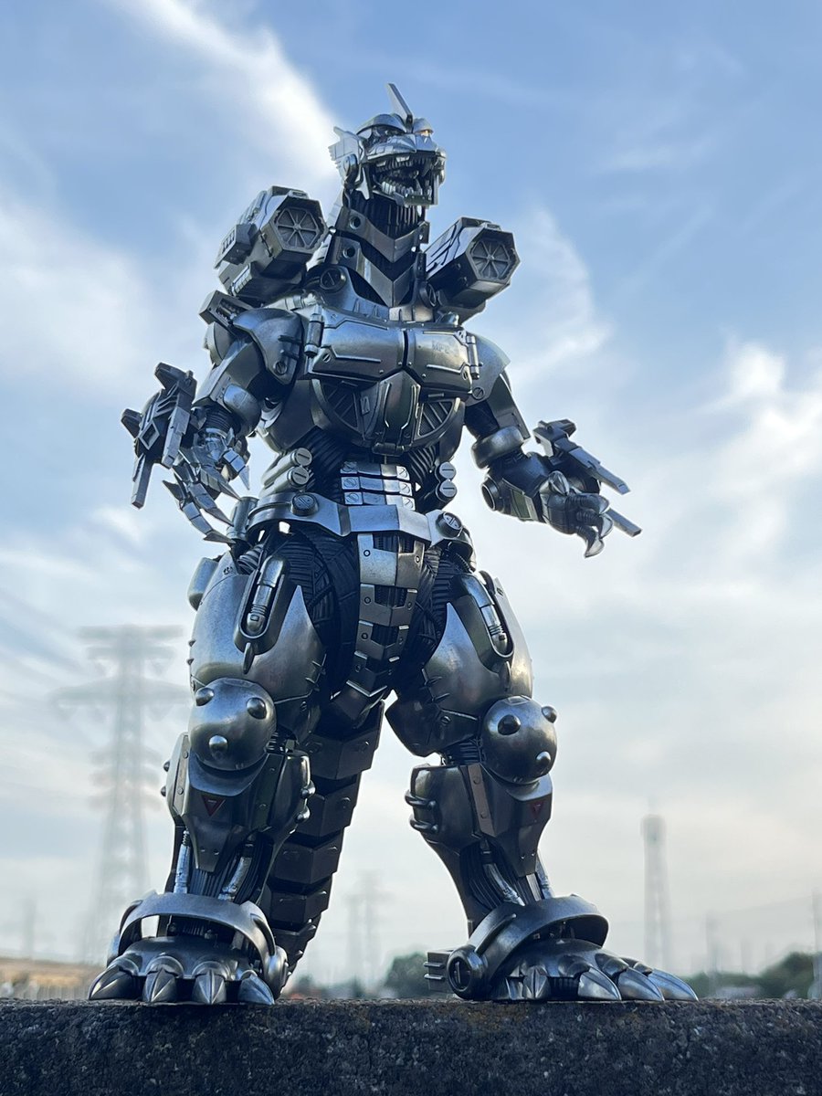#下から写真とるとええ感じになるらしい

左様♪